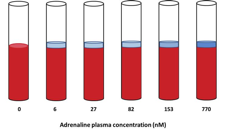 Platelet activation and aggregation: Clinical and experimental studies Study II In this study, blood samples from patients on DAPT with ASA and ticagrelor were collected for platelet aggregation and