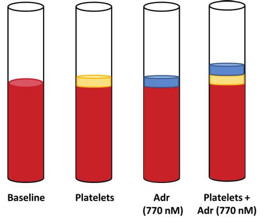 Sukhi Singh Figure 16. Supplementation with platelet concentrate and adrenaline (Adr) to blood samples (Study II).