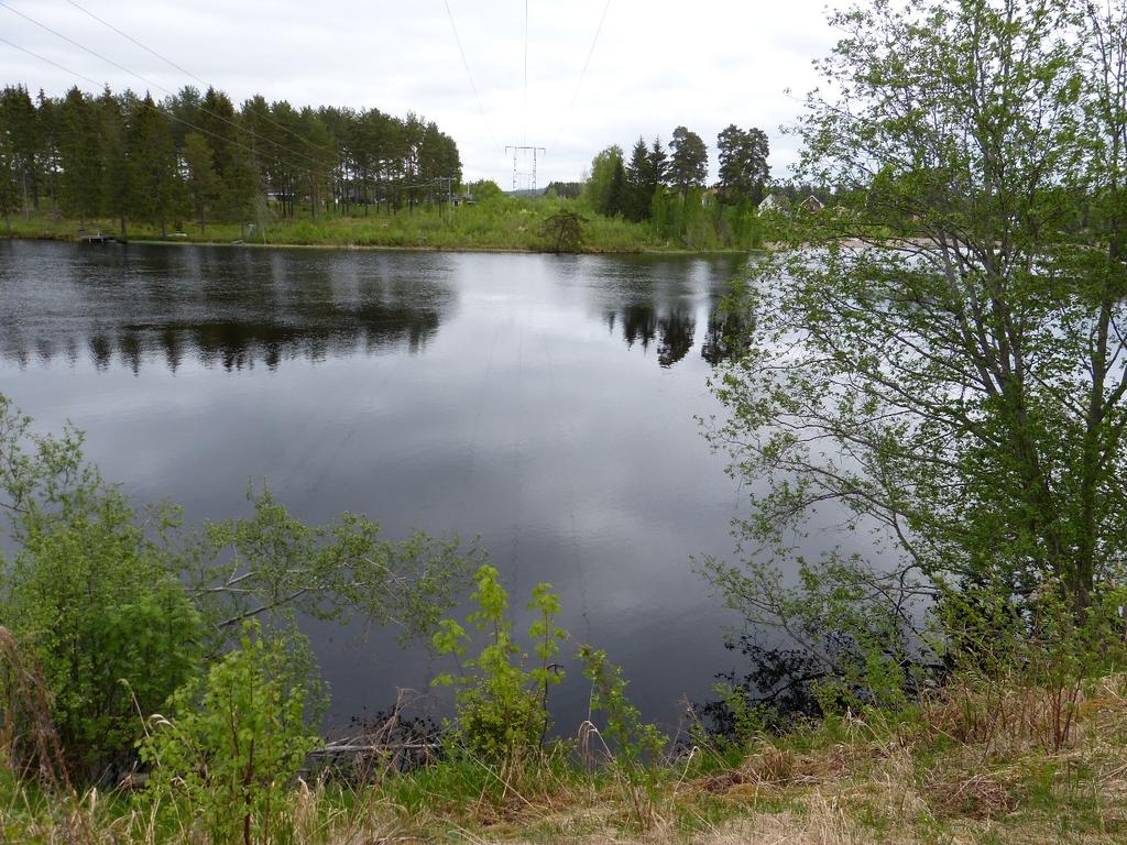 Söder om Smårissjön passeras Dömlemossen som finns upptagen i våtmarksinventeringen. Ledningen passerar mossen i dess sydöstra kant.