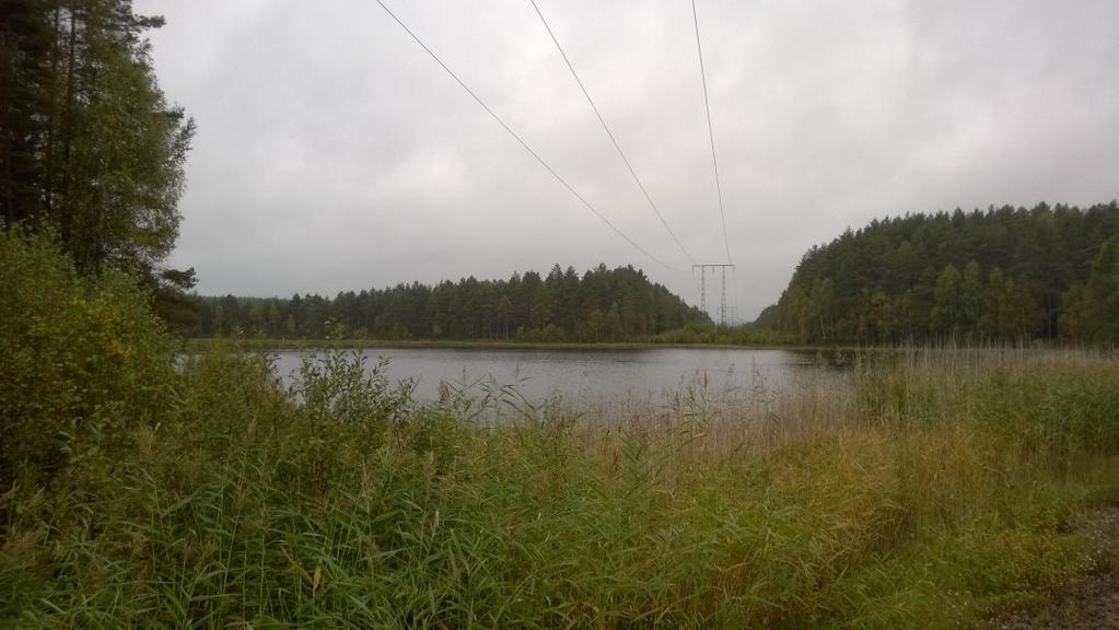 Figur 21. Den befintliga ledningen i skogsmark och vid korsande av Igeltjärn. Fotot är taget utanför Deje. Ledningen korsar över utloppet i Smårissjöns sydöstra del. Passagen sker med luftspann.