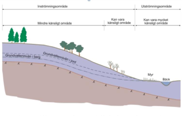 Figur 6. Skiss med moränsluttning med olika känsliga områden för påverkan på växtlighet om en grundvattenbortledning i berg sker.