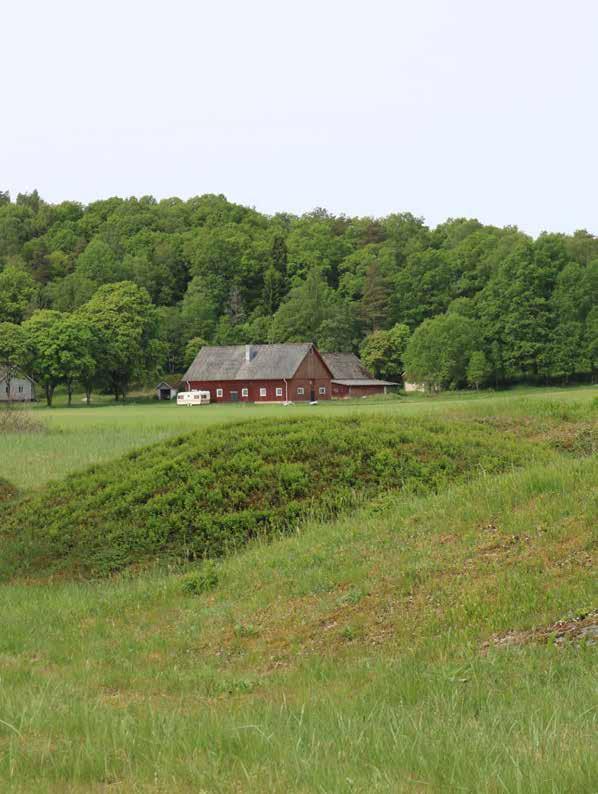 24. BERGHEM Berghem är ett fornlämningsrikt område beläget i ett öppet jordbrukslandskap strax söder om Ljungby.