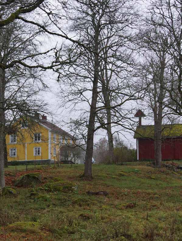 26. MÅLENSÅS Målensås är en belysande representant för skogsbygdens små herrgårdsanläggningar som endast marginellt varit större än lite mer
