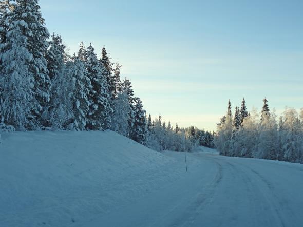 Tänk på att kilometerstolparna är fasta fornlämningar.