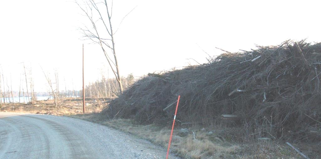 6.2 Skogsbränsle med vissna barr Kan barren accepteras i skogsbränslet kan groten skotas ut direkt efter avverkningen och läggas i större vältor vid bilväg (se bild 5).