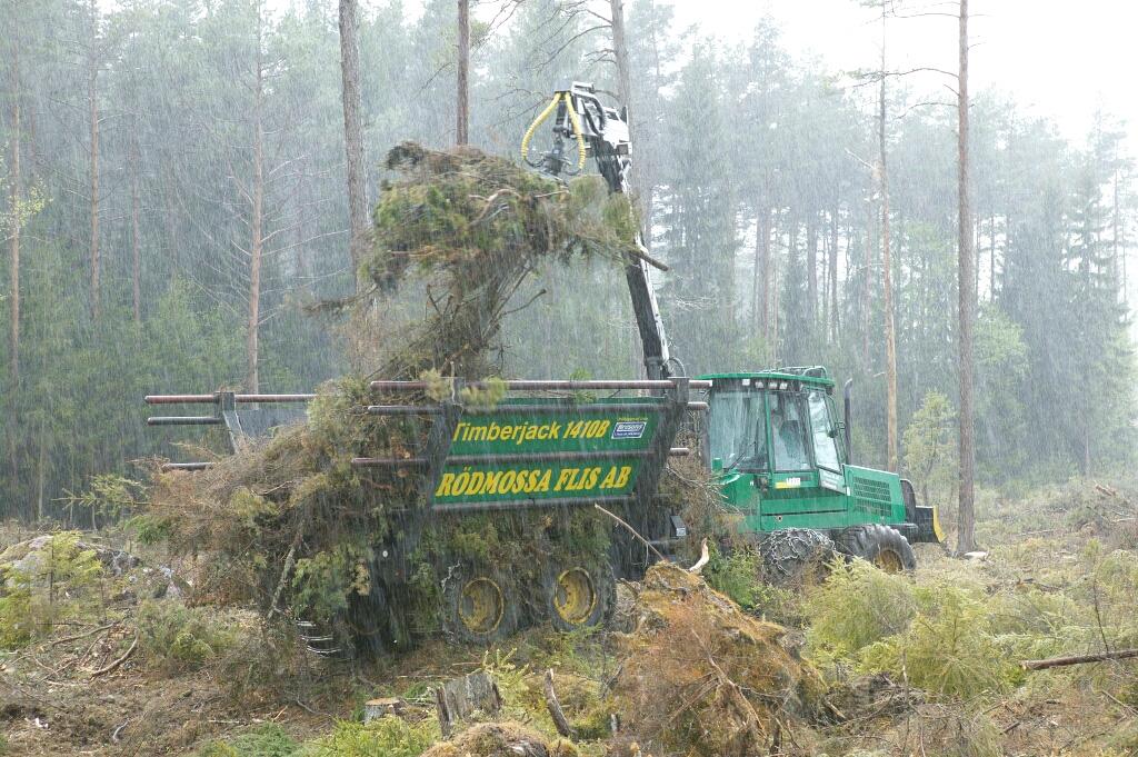 6.3 Skogsbränsle med färska barr Genom att samla ihop skogsbränslet när det är färskt (se bild 6) får man med sig barren ut från hygget.