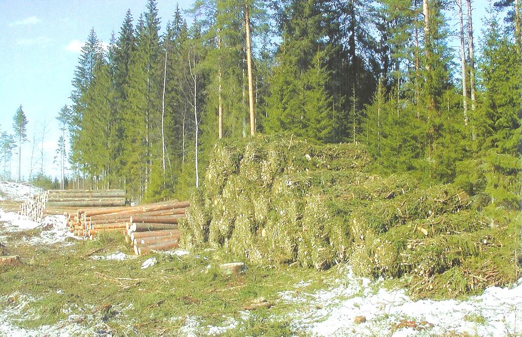 7.1.4 Förkortad lagringstid I nuläget syftar lagring av skogsbränsle i första hand till att fördela energitillgångarna till förbrukningsbehovet under vinterhalvåret.