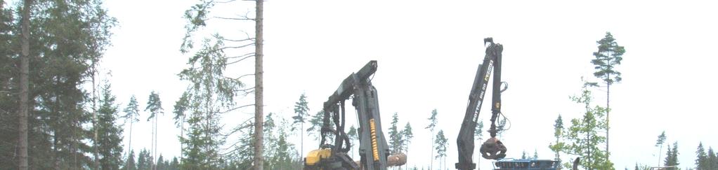 Det är inte bara traditionella avverkningsskördare som skulle kunna kombineras med ett buntningsaggregat.