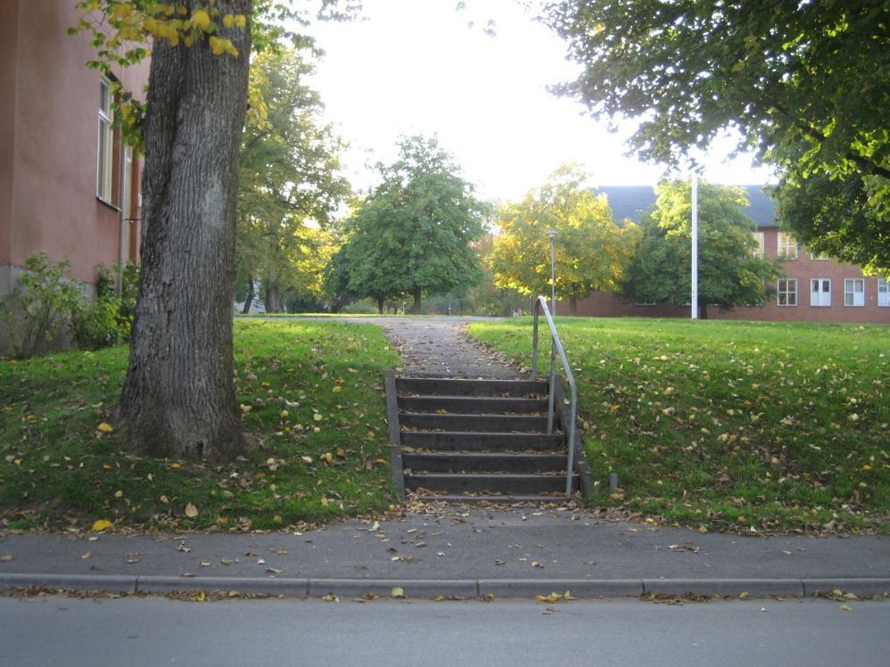 gammal buskplantering, som behöver förnyas och därför gör det inget om man ändrar gångens riktning. Att förnya gammalt växtmaterial, såsom buskar, gör buskagen lättare att sköta.