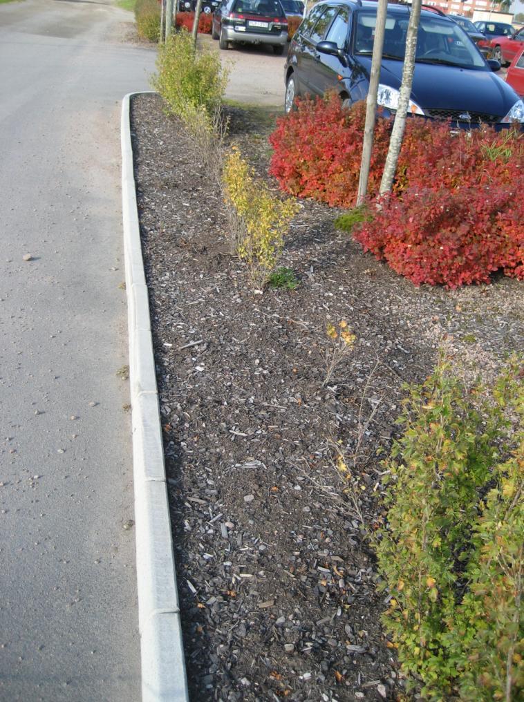 en sommarblomsplantering som skulle höja upplevelsevärdet avsevärt. Så ett förslag kan vara att utveckla sommarblommorna ytterligare för att höja kvalitén.