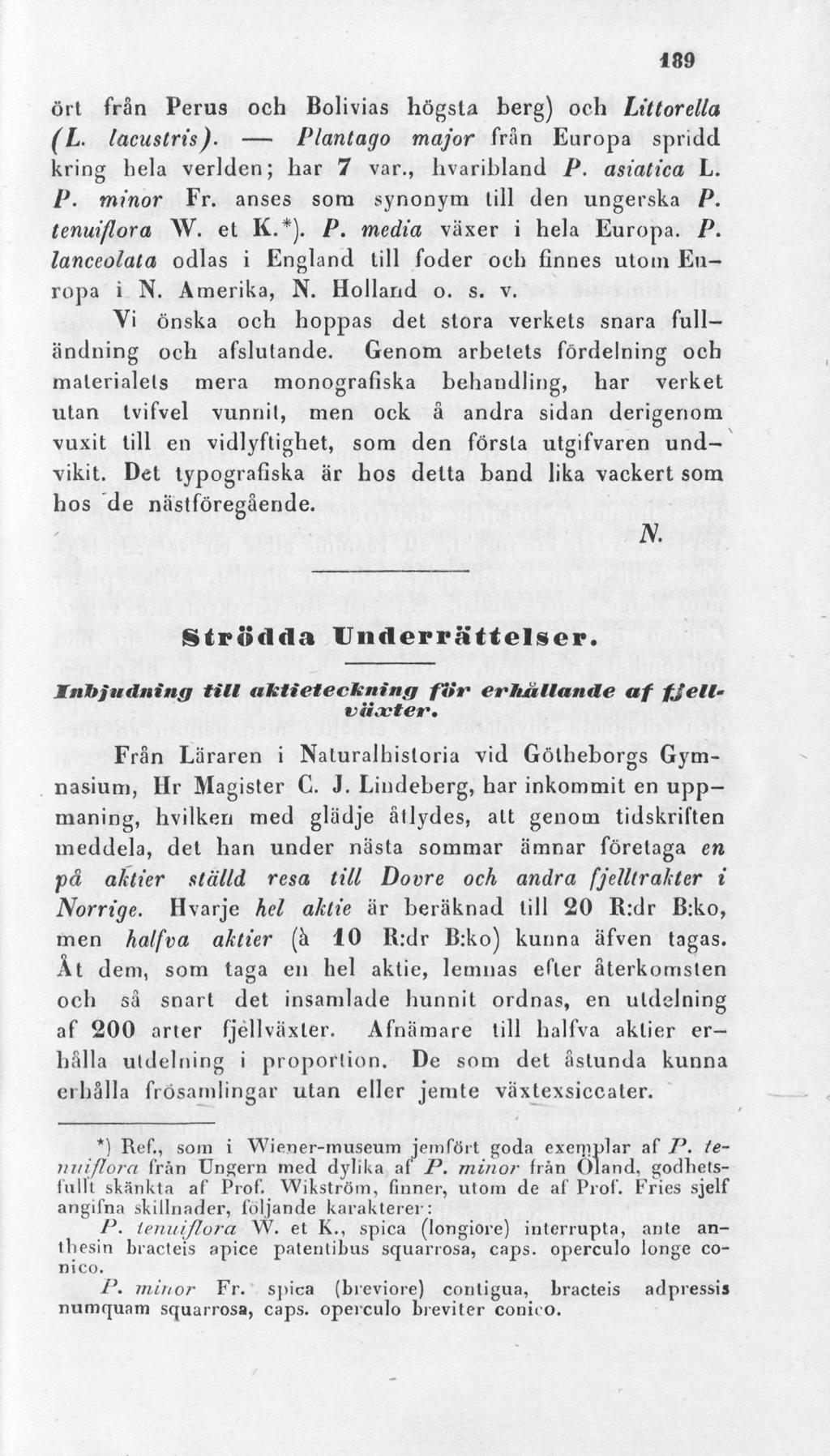 189 ört från Perus och Bolivias högsta berg) och Littorella (L. lacustris). Plantago major från Europa spridd kring hela verlden; har 7 var., hvarihland P. asiatica L. P. minor Fr.