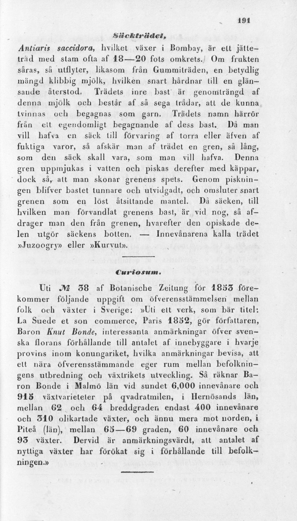 SiicktrUdet, 191 Antiaris saccidora, hvilket växer i Bombay, är elt jätteträd med stam ofta af 18 20 fots omkrets.