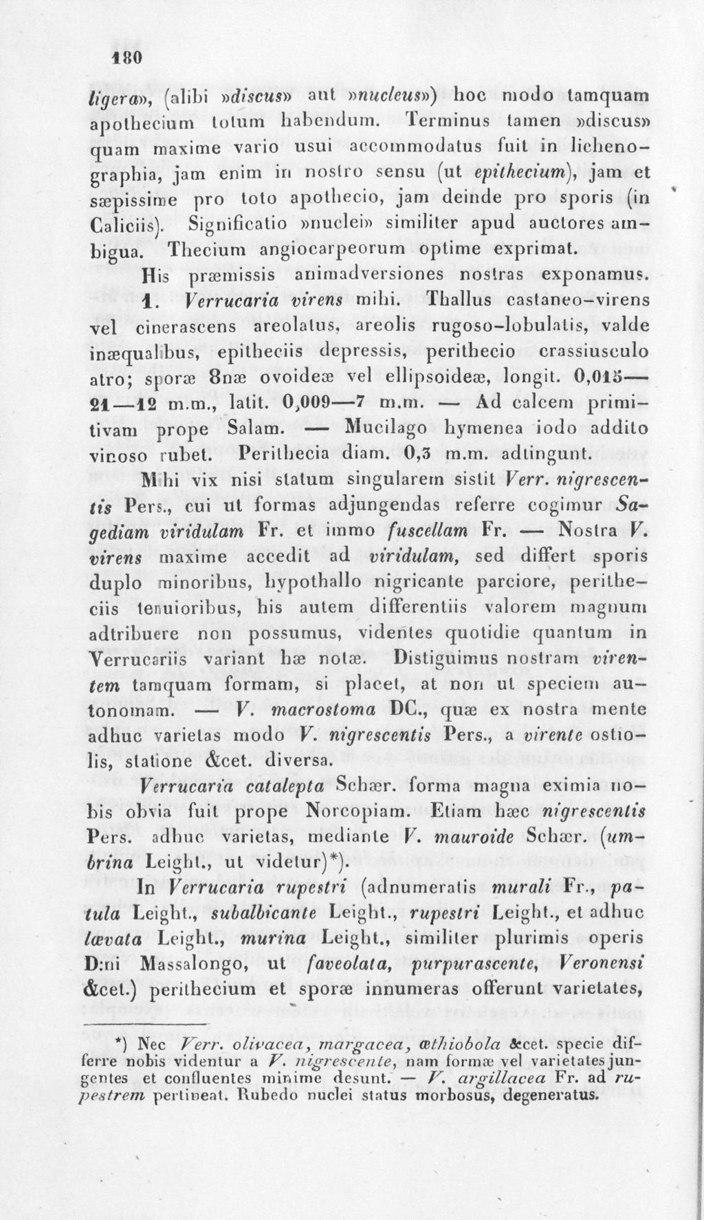 180 ligera, (alibi discus ant nucleus) hoc mod o lamquam apothecium lolum habendum.