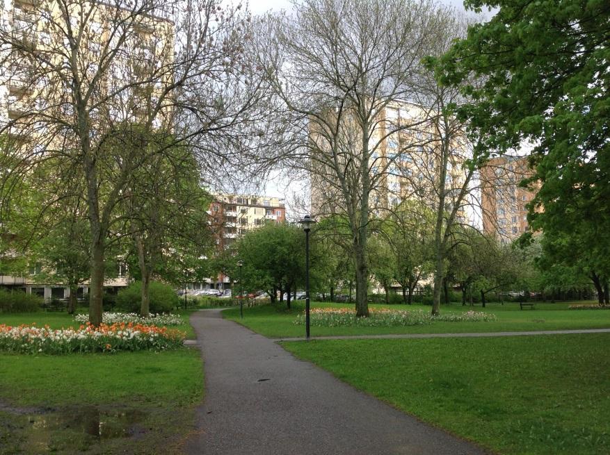 Figur 6. Södra delen av Skytteholmsparken. Ett par askar syns i bakgrunden.