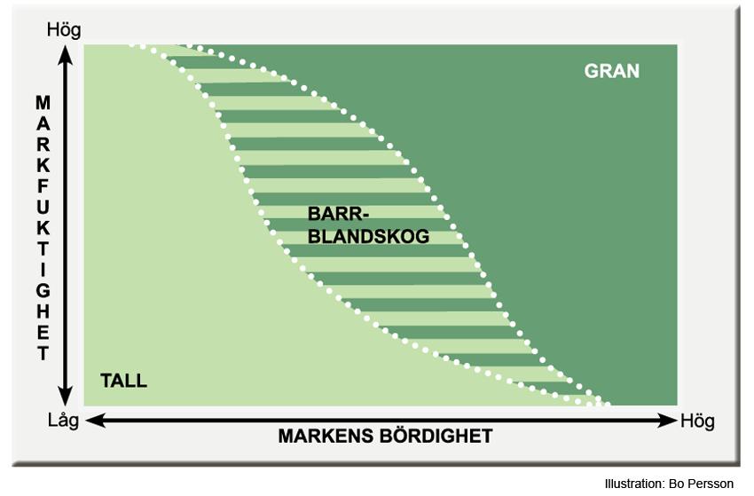 Grn- och tllmrker Begreppen grn- och tllmrker nvänds i vårt rbete och orden hr lite olik innebörd beroende på vem som tillfrågs.