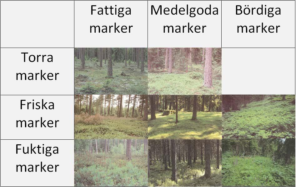 Anlyser Vi bestämde oss för tt gör två nlyser på vår dt. En nlys där vi undersökte hur förekomsten v ngrepp påverkdes v fältskikt, mrkfuktighet respektive kombintioner v mrkfuktighet och fältskikt.