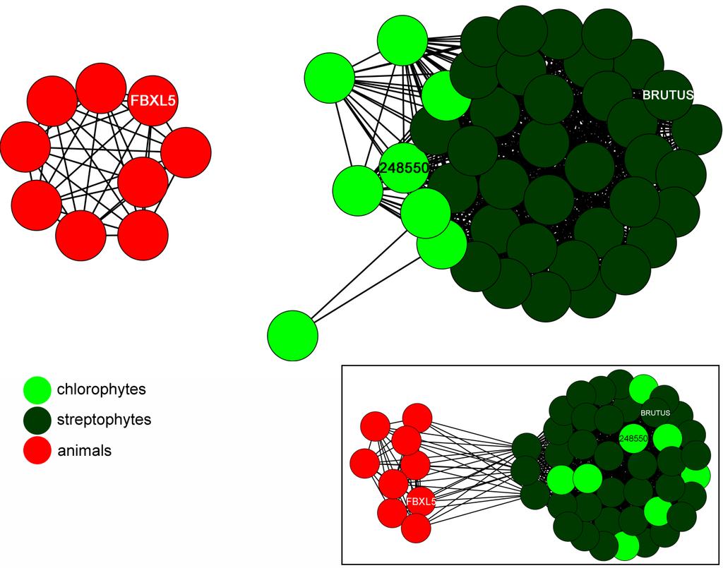 Supplemental Figure 10. C. Supplemental Figure 10. Plant and algal hemerythrin-e3 ligase like proteins are highly conserved. C. Protein similarity network of hemerythrin-e3 ligase like proteins.