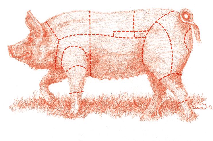 Styckning av svin I dagligt tal använder man olika termer ( griskött och fläskkött ) när man talar om svin. Ska man vara lite noga är den generella termen svinkött.