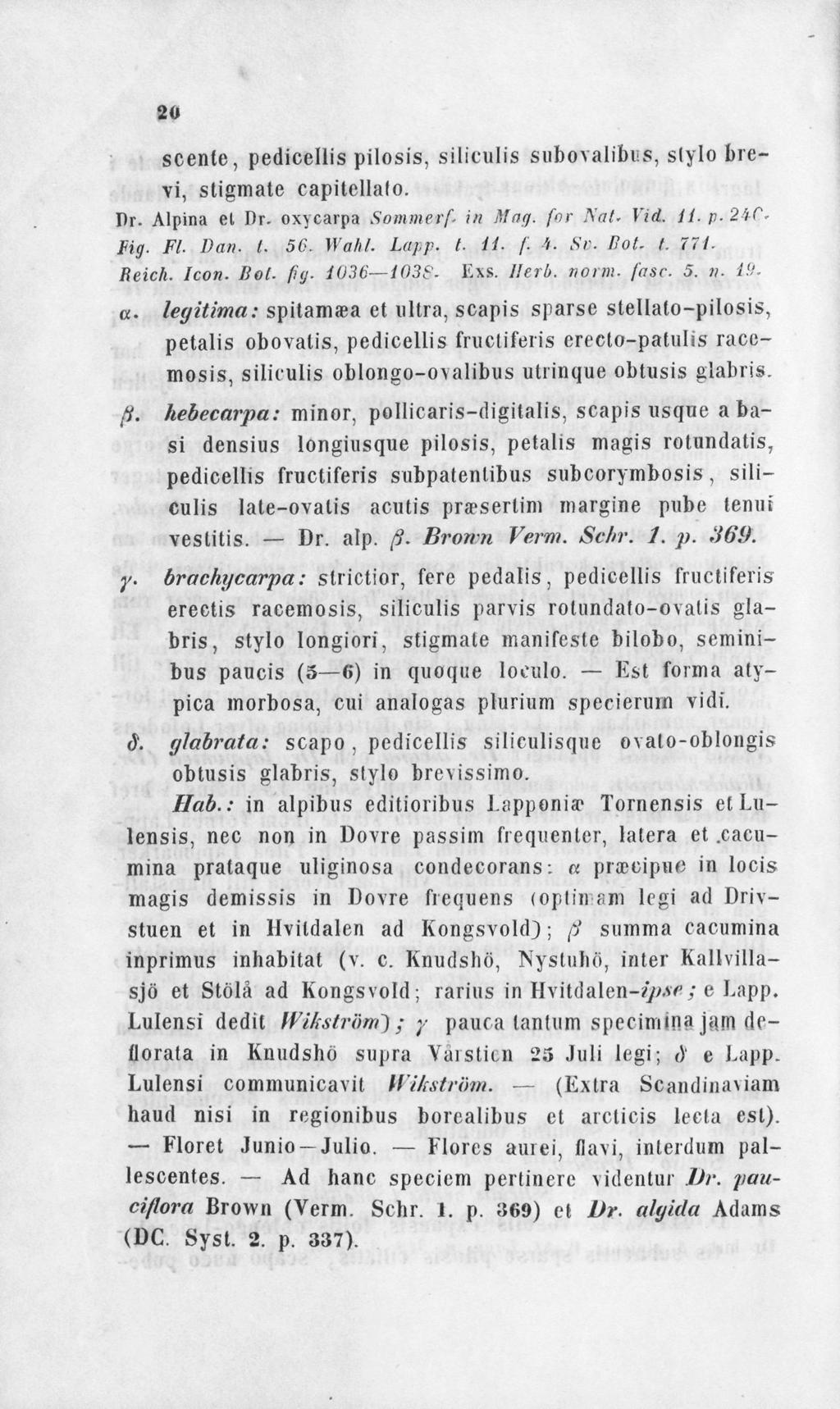 2(i scenle, pedicellis pilosis, siliculis subovalibiis, stylo brevi, stigmate capitellafo. Pr. Alpina et Dr. oxycarpa Sommerf. in Mag. for Nat. Vid. ii. /;. 241". Fig- FL Dan. I. 56. Wall/. La}.