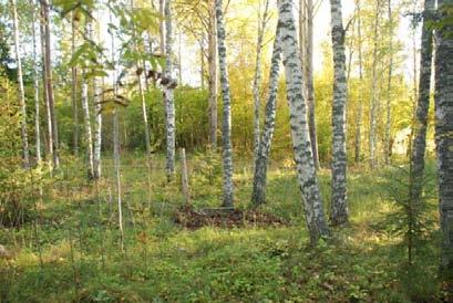 Uppföljning Upprepade inventeringar behövs samt bevakning av röjningsinsatser. Vid eventuellt införande av bete behöver fjärilen övervakas årligen första åren, därefter vartannat år.