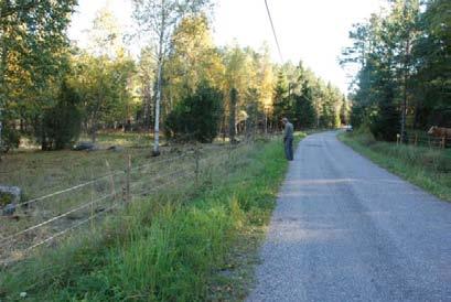 Vid inventeringen 2010 noterades knappt 50 blommande plantor längs brynmiljöerna mot åkermark samt betesmark.