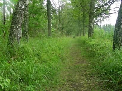 Flottskärs Gård Beskrivning Igenväxande f.d. hävdade marker som delvis hålls öppna utmed allevägen som går till lusthuset mot Storsundet.