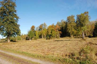 Bakgrund Upplandsstiftelsens arbete med ängsskäreplattmal drivs i Tierps och Östhammars kommun som en del av projektet Roslagshagar som Upplandsstiftelsen bedrivit sedan 2001.