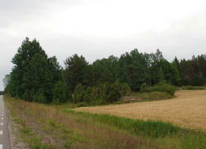 Ett nytt fynd av ängsskära har noterats på andra sidan åkermarken på gammal körväg, samt i dikeskant längs norra landsvägen.