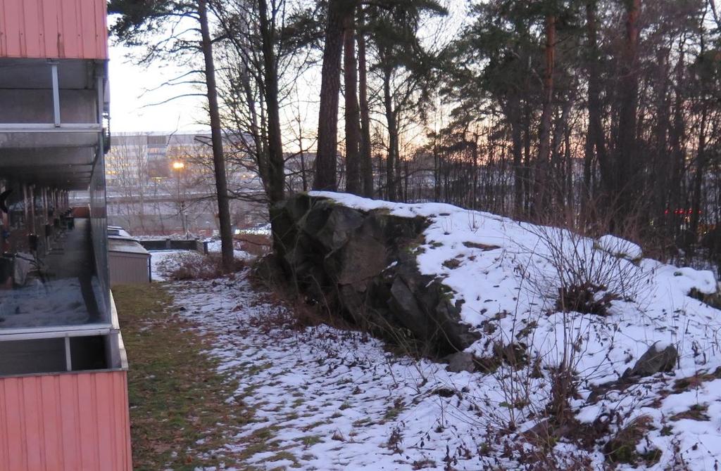 Sida 7 (15) Berghällarna/hällområden (H01 H07, se MUR, bilaga 5) är delvis bevuxna med lägre vegetation, mossa och lav och är, jämfört med bergskärningarna, därmed mer svårtolkade.