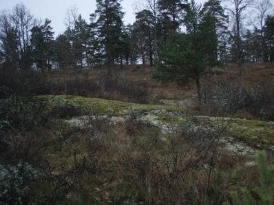 Naturvärdesobjekt 2. Hällmark med hävdgynnad flora.