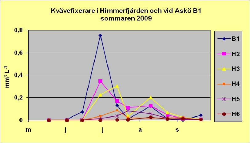 mängder i de inre delarna av Himmerfjärden. I de yttre delarna var Anabaena arterna mer talrika (4,7 och 2,7 ml -1 vid station H3 och H2 respektive).