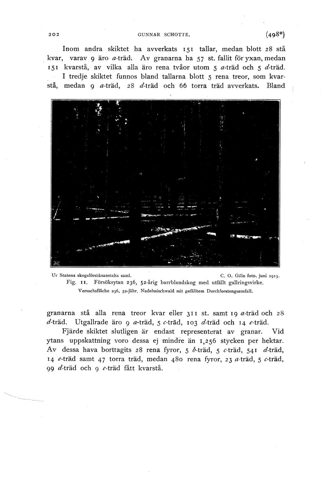 202 GUNNAR SCHOTTE. Inm andra skiktet ha avverkats I 51 taar, medan btt 28 stå kvar, varav 9 är a-träd, Av granarna ha 57 st.