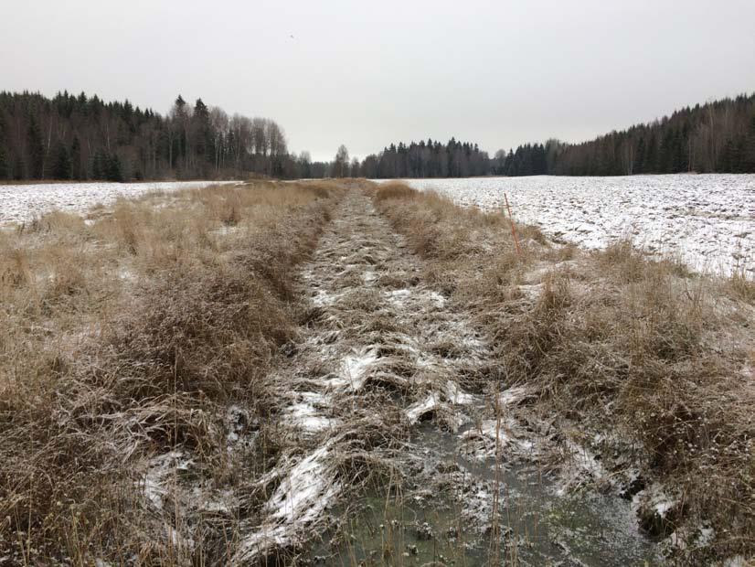 Figur 2. Fotografi på åkermarken inom område 2. Inom område 2 påträffades inga höga naturvärden och området uppnår inte naturvärdesklass 4. 3.