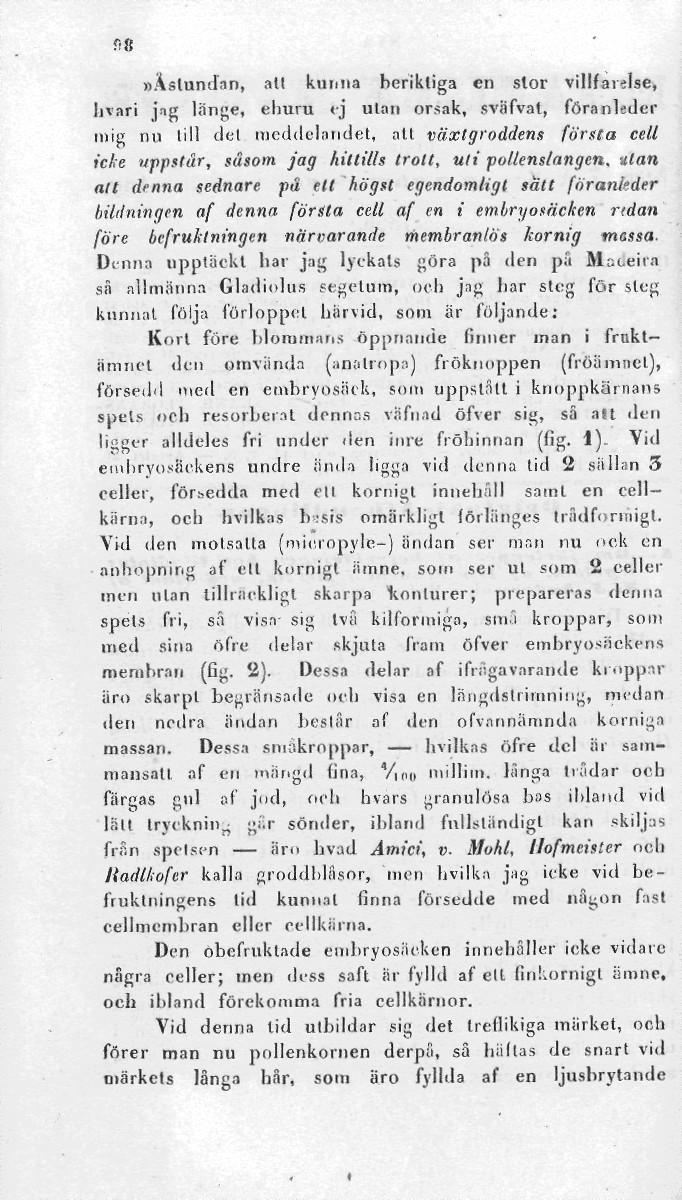 r>8»ästundan, all kunna berikliga en stor villfarelse, livari jng länge, ehuru <j ulan orsak, sviifvat, föranleder mig nu lill del meddelandet, all växtgroddens första cell icke uppstår, susom jag