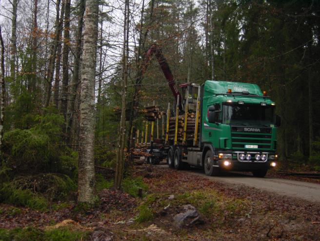 förekommer därför vissa undantag från denna inriktning.