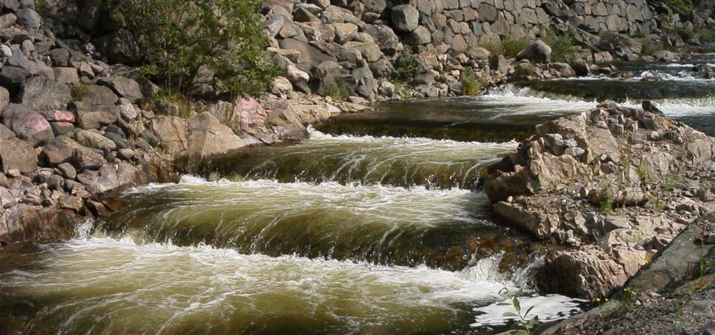 Dammutrivningar Flöde i torr/naturfåror Habitatrestaurering Fiskvägar