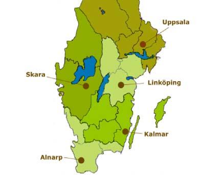 216 12 14 Hönshirs i södra Sverige Större förekomst av hönshirs Blekinge Gotland