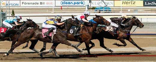 Start 18:37 Bankod 06 Brizys Montéryttarserie - omgång 8 4-åriga och äldre lägst 150.001 kr. 2140 m. Monté. Tillägg 20 m vid vunna 725.001 kr. Pris: 25.000-12.000-7.000-4.700-3.100-2.300(2.300) kr.