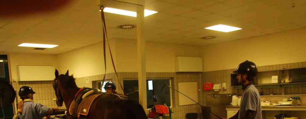 Foto Spitalul veterinar LODI sală de operații și sală investigații metabolice cabaline Întâlniri de lucru în cadrul VSA cu colegii prof. Prof.