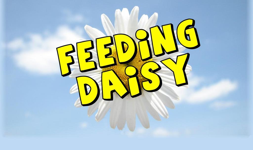 Feeding Daisy En automatisk blomvattnare EITF11 Lunds Tekniska Högskola
