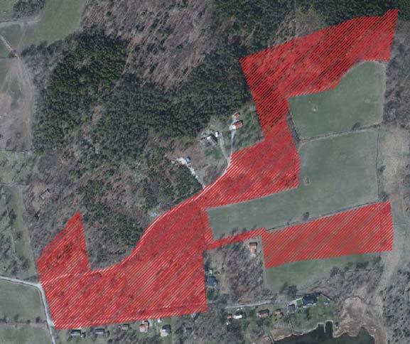 RAPPORT 4 WSP har under våren 2017 utfört en besiktning av de södra delarna av planområdet. Resultatet förtäljer att det undersökta området till största del består av morän och sediment.