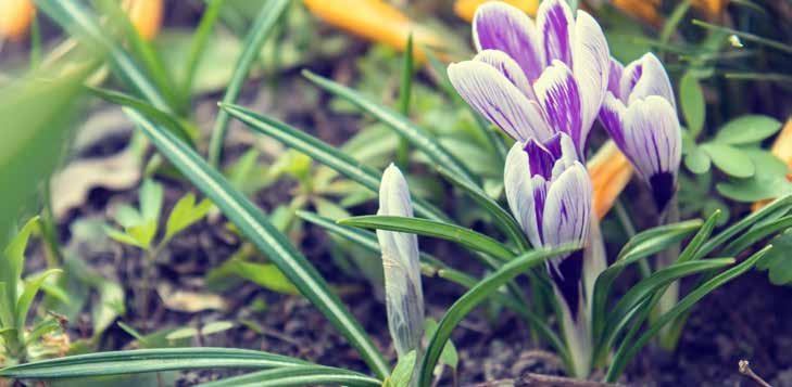 Reumakalender 2019 4 april Jubileumssymposiet för Konung Gustaf V:s 80-årsfond 4 april Stockholm 8 april Reumatologidagen 2019 8-12 april Stockholm 9 maj SK-kurs: Kroniska