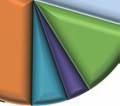 25% 50% Titluri de Stat Obligat. ale org. str.neguver. Marfuri 75% 100% Obligatiuni Municipale Actiuni Instrumente de ac.