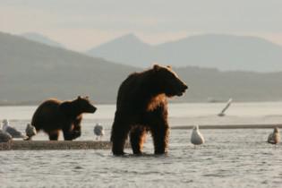 National Park i Alaska bjöd på