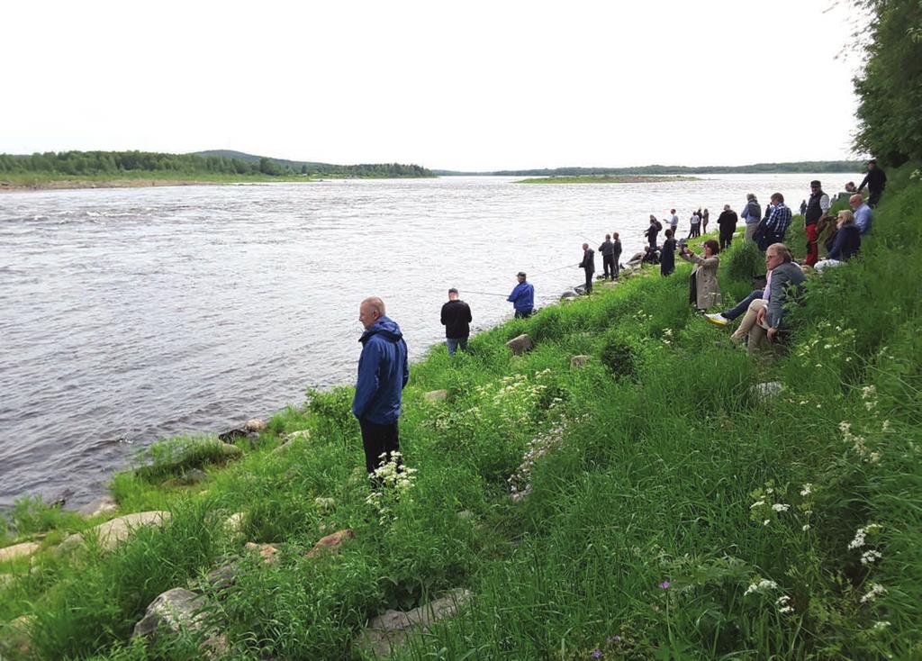 Nordiska ministerrådet hade möten i Haparanda i juni. Mötesdeltagare hann ta en titt på laxfiske vid Matkakoski i Torne älv den 26 juni 2018. 2018.03.