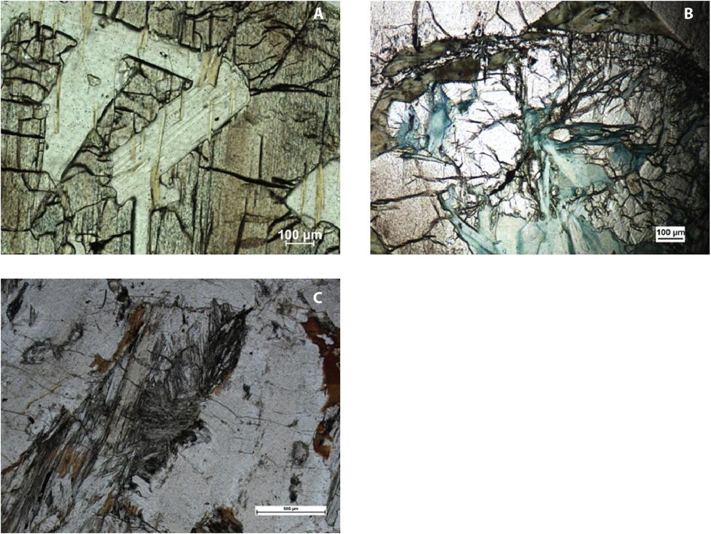 Fig. 8. Photomicrographs (plane light) of gabbronorite samples from Bastutjärn A: Secondary biotite foliation within plagioclase and pyroxene grains, 10X plane polarized light sample 20121001.