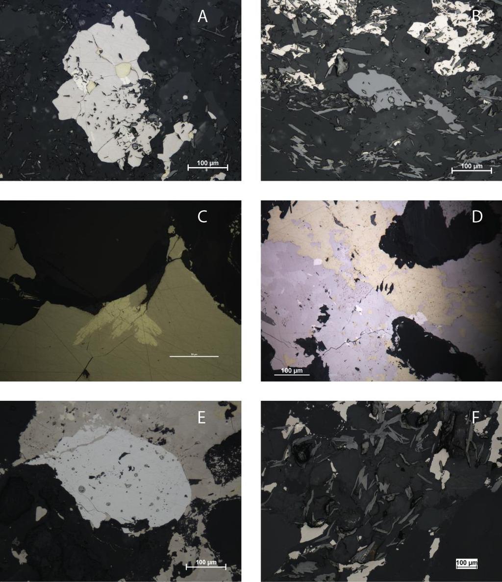 Po Pent Ccp Mag Grp Po Ccp Pent Po 50 µm Pent Po Grp Pent Po Fig. 14. Photomicrographs (reflected light) of mineralized samples from Bastutjärn.