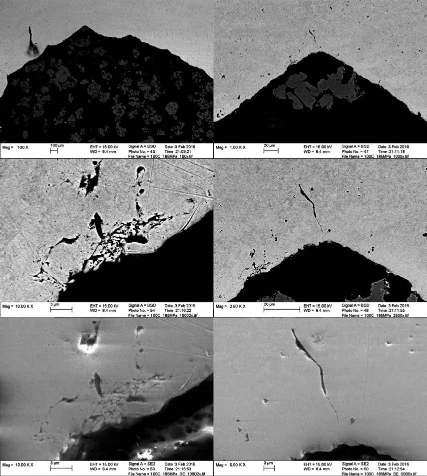 4.3.1 View A A from specimen no 1 (T = 100 C, σ ref = 185 MPa) The specimen is cut in the A A viewing plane. Figure 4 8 shows the notch root and various magnifications of the innermost notch tip.