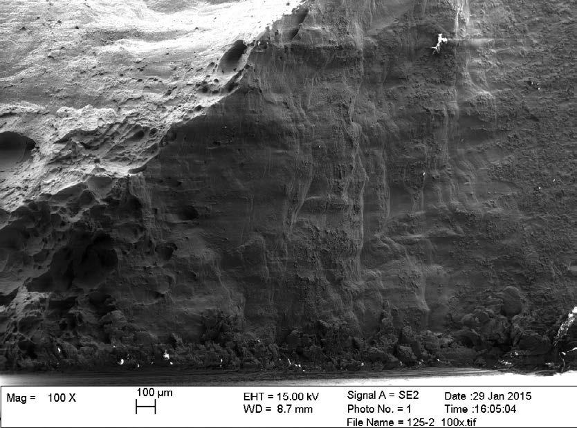 This is in line with expectations since corresponding randomly oriented cavities have been observed near notch bottoms in all other studied specimens.