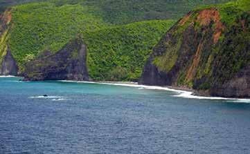 Hawaiis nordligaste och äldsta ö har smeknamnet The Garden Island och förtjänar det verkligen. Är du på jakt efter äventyr i vildmarken är Kaui ön för dig.